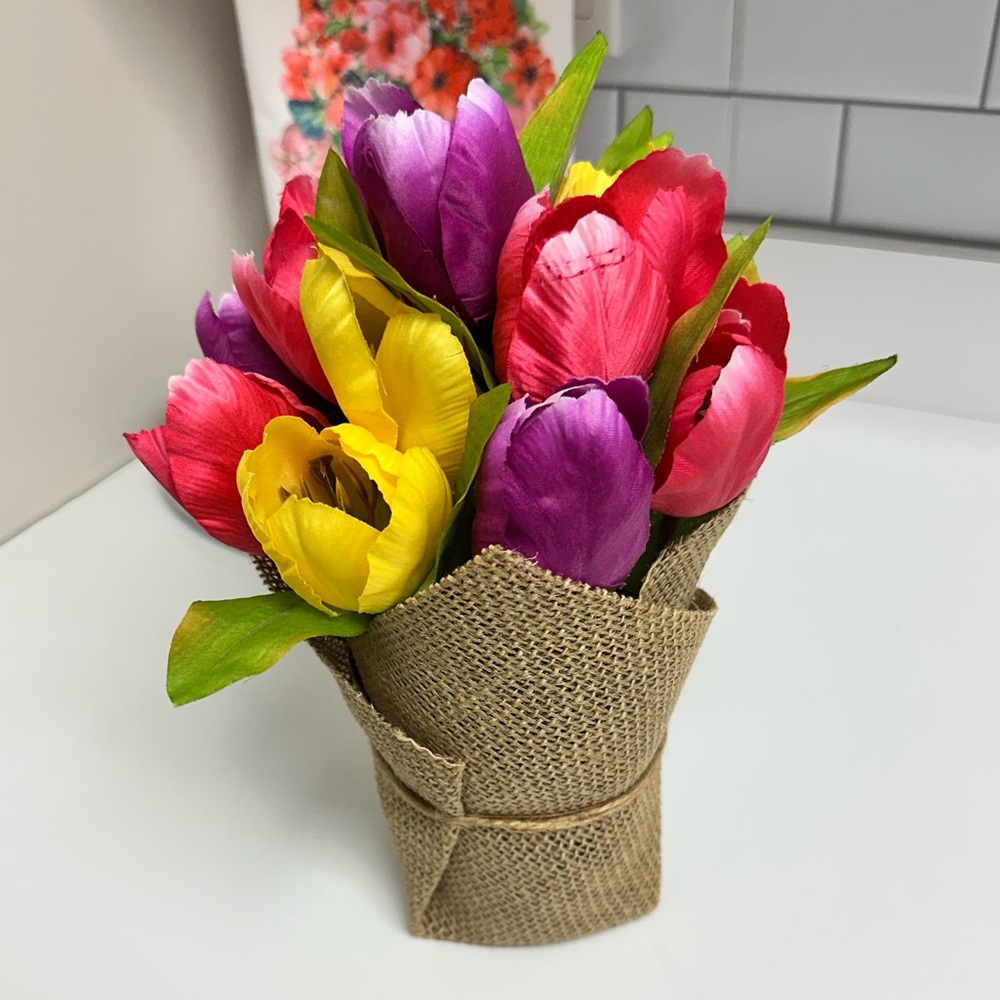 💐Beautiful Tulip Plant - Picture 5 of 5